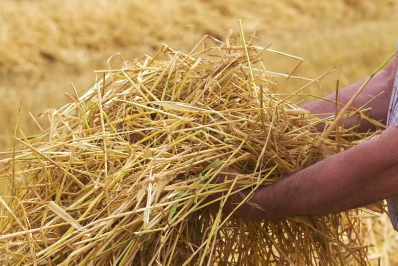 What's On from Friday 29th July 2016