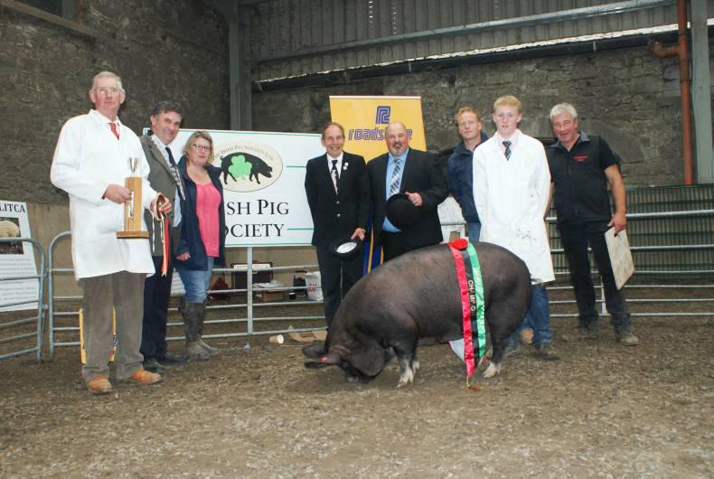 Pig classes at Bluebell for the first time ever