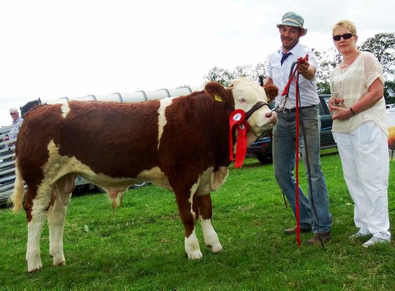 Limousin bull takes the top spot at Dungarvan