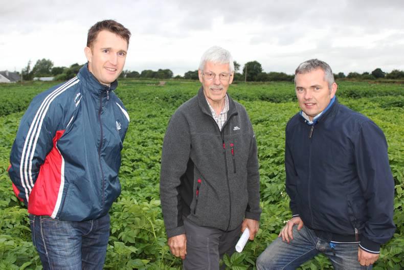 Variety differences obvious at salad potato event