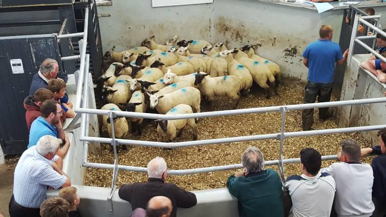 News round-up from Northern Ireland