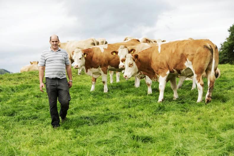 My farming week: Gordon Salter, Dunmanway, Co Cork