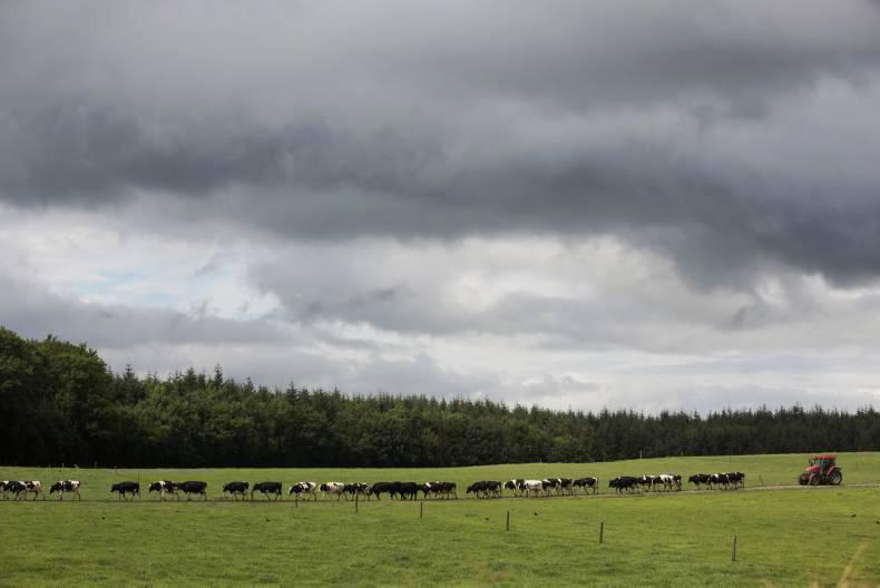 Ireland offers more SMP into intervention 