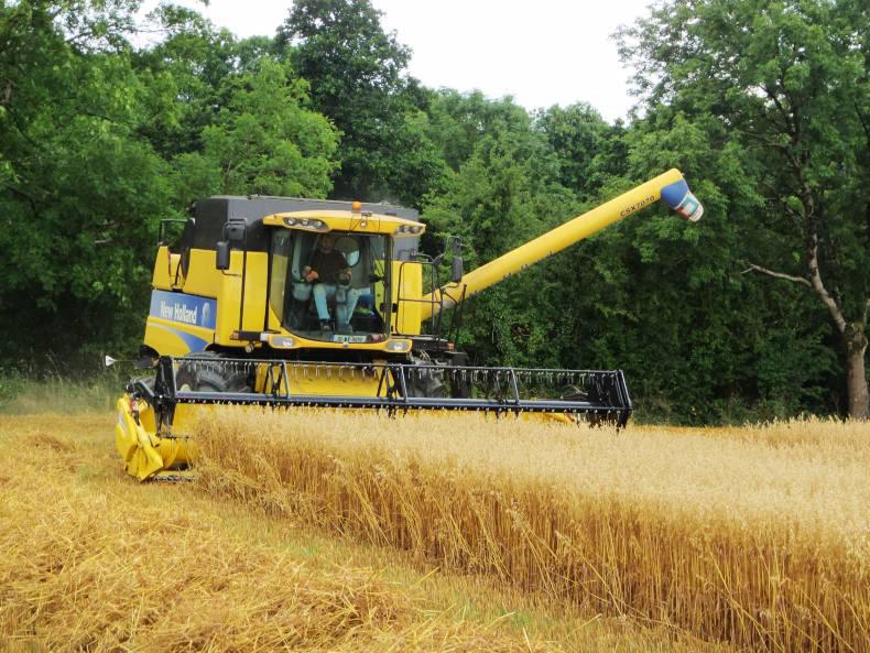 Farming with nature in mind: getting into forestry 