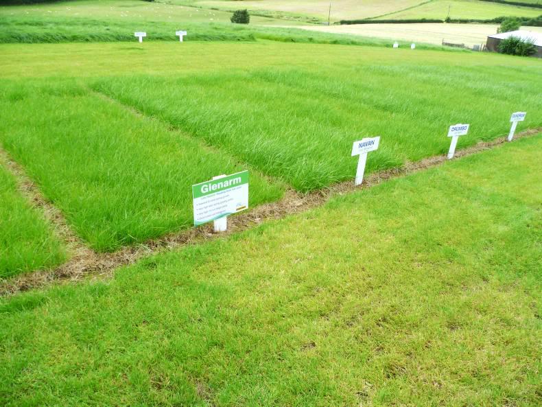 New approach to assessing grass