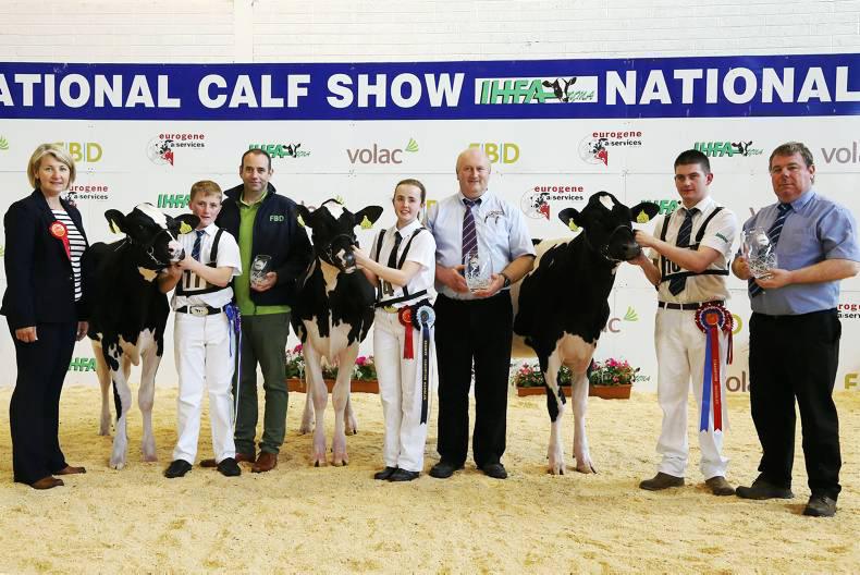 YMA national calf show results 2016