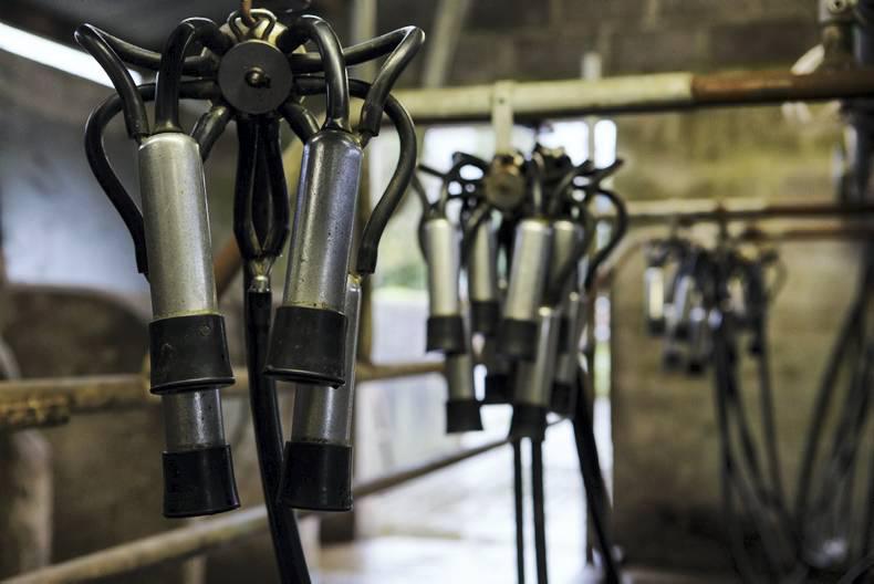 Practical training must be core in ag courses