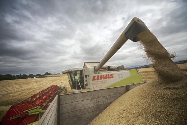 News in brief from Northern Ireland