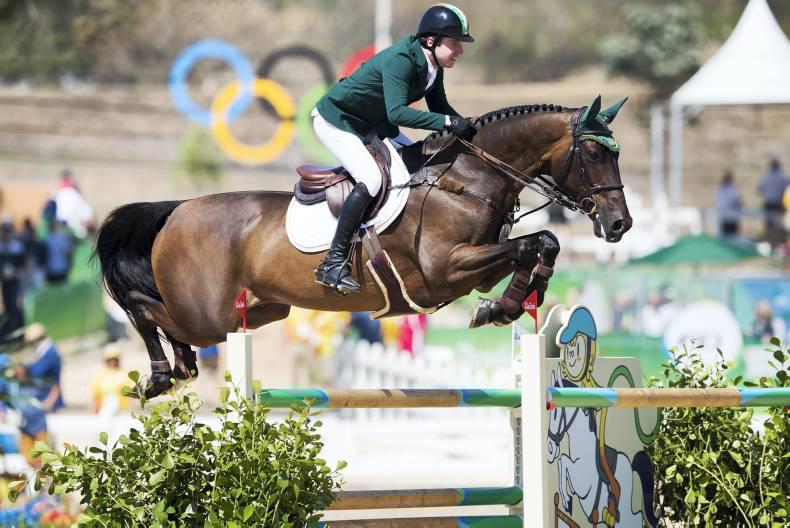 Cavan breeder's delight at Olympic medal