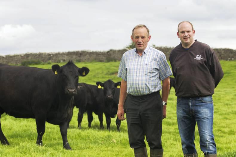 Herd profile: Joe and Cathal McCormack's Steil Angus herd