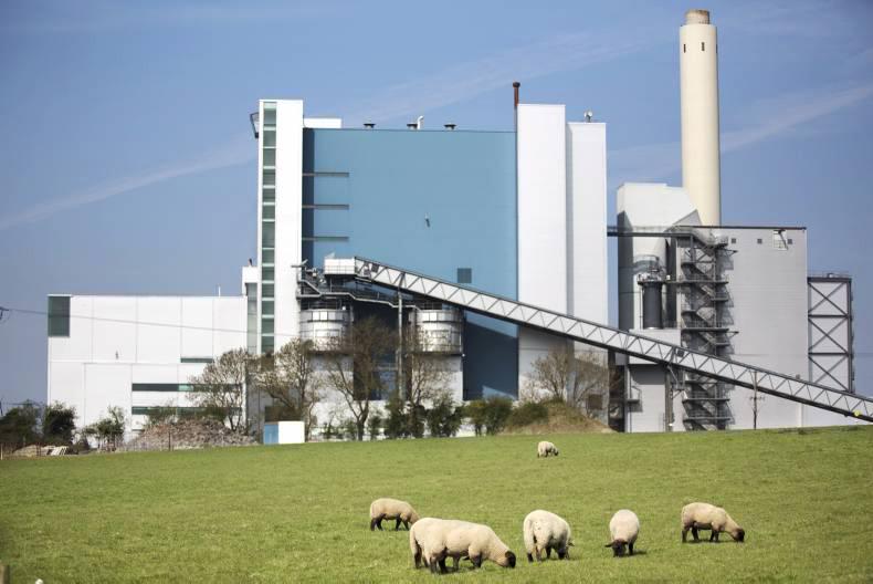 New €200,000 fund for agribusiness startups