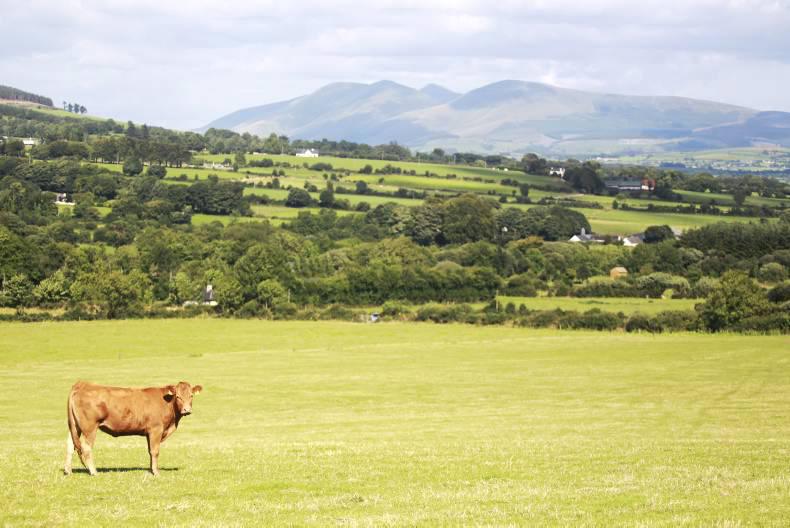 Southeast has highest knackery charges