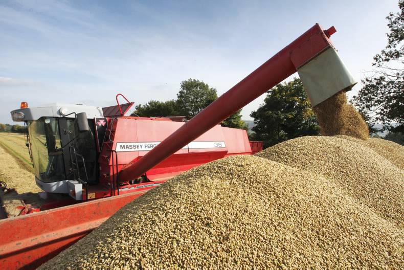 Avoid malting and seed grain damage