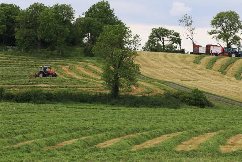 Farmer Writes: the emotional burden of the family farm 