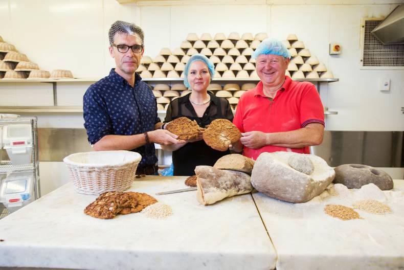 Explore Iron Age food and farming in Cork this Saturday