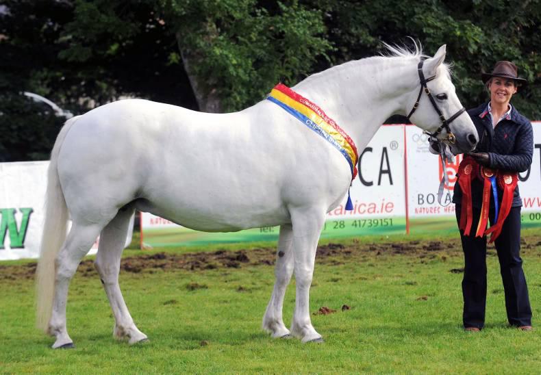 Lackragh Beauty crowned queen of Clifden