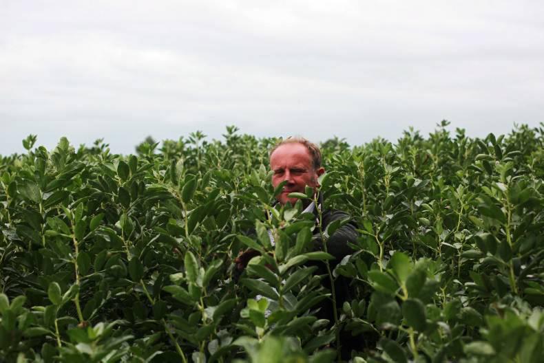 Farmer Writes: a kidney stone and combine combination