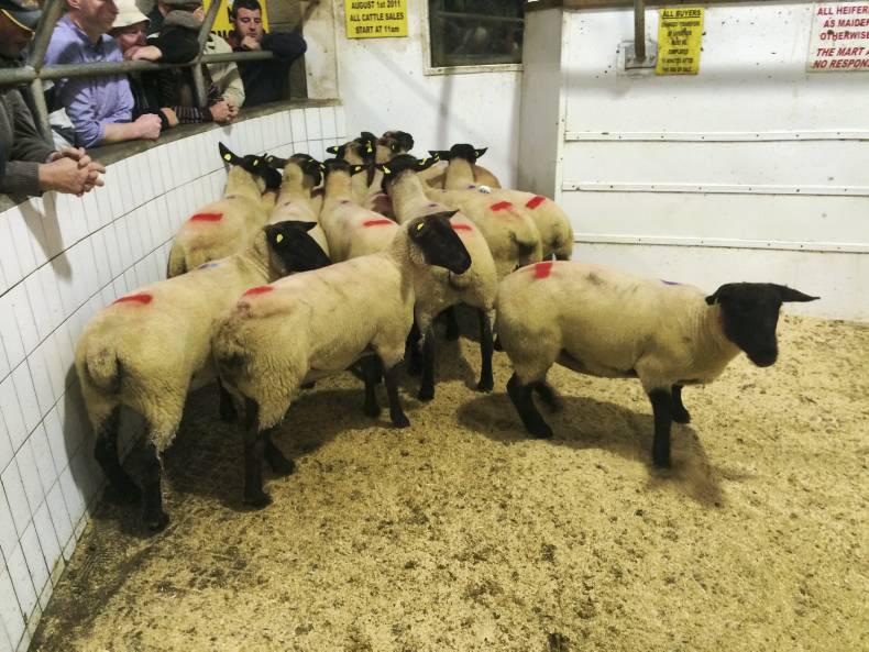 Peak season for group breeding sales