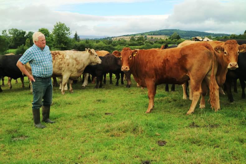 The Wicklow way works for BETTER farm participants Minion brothers
