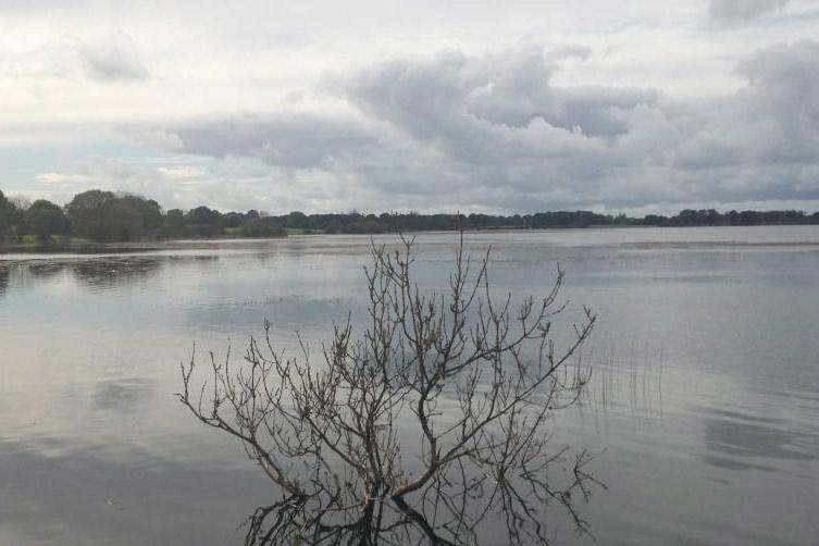 'Less talk and more action' - farmers on flooding plans