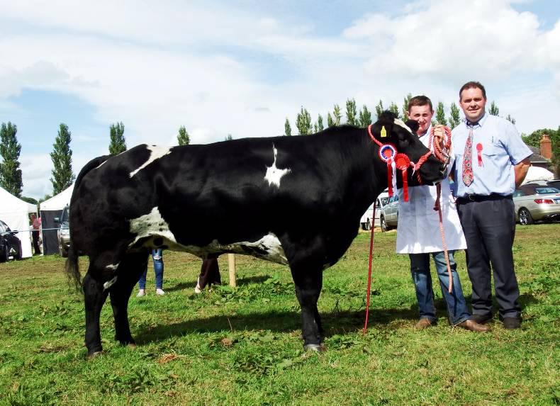 Belgian Blue takes inter-breed title at Bansha