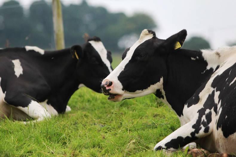 The latest agricultural jobs                   