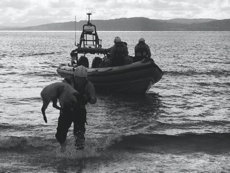 RNLI deployed to rescue a stranded sheep in Co Donegal