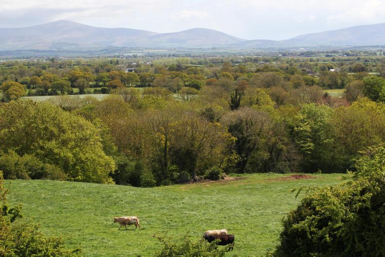 Minister Humphreys is failing commonage and Natura farmers – INHFA