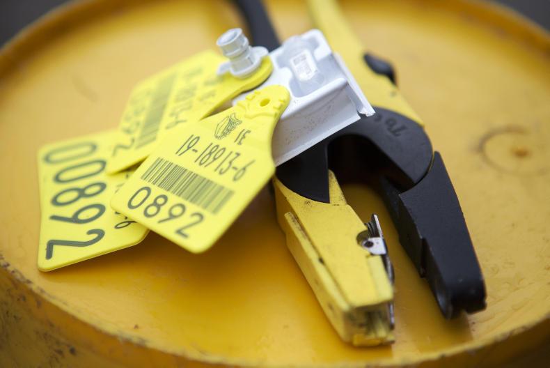 Two-year on-farm test for new cattle tags in France