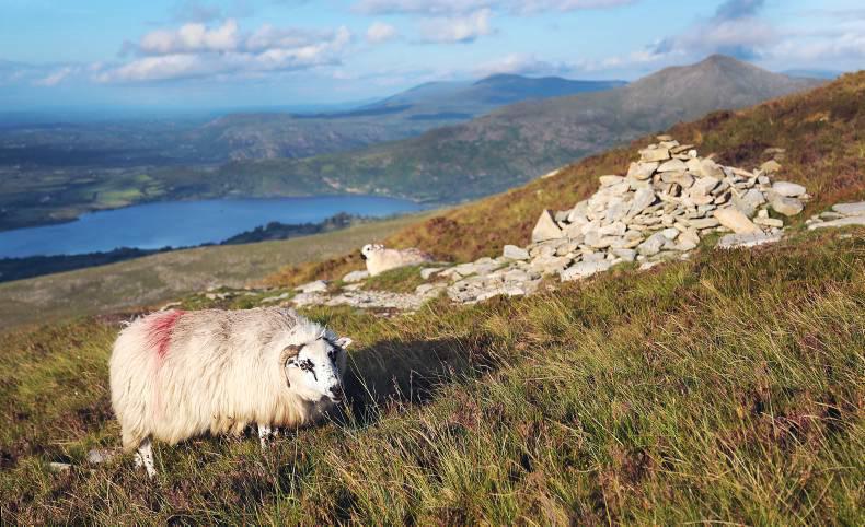 Hill farmers raise questions on CMP's and eligibility inspections
