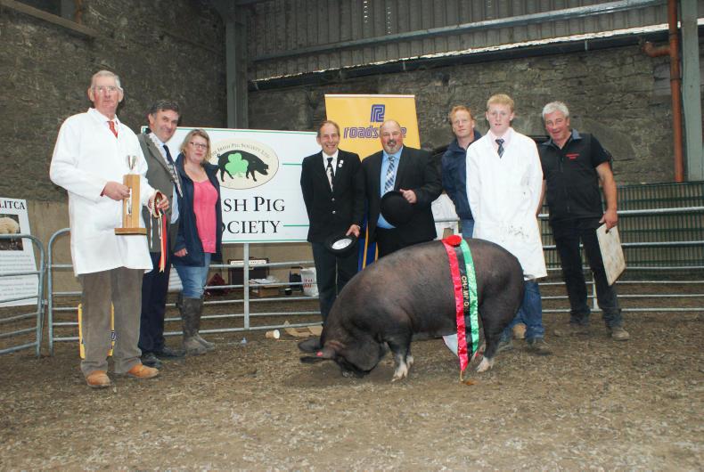 Pig society to attend Ploughing