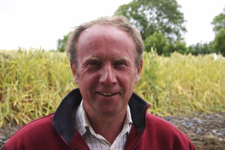 Farmer Writes: Wheat and telly – more in common than you’d think 