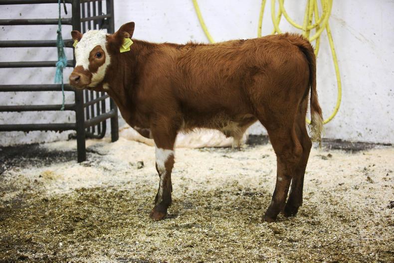 A guide to special and upcoming sales