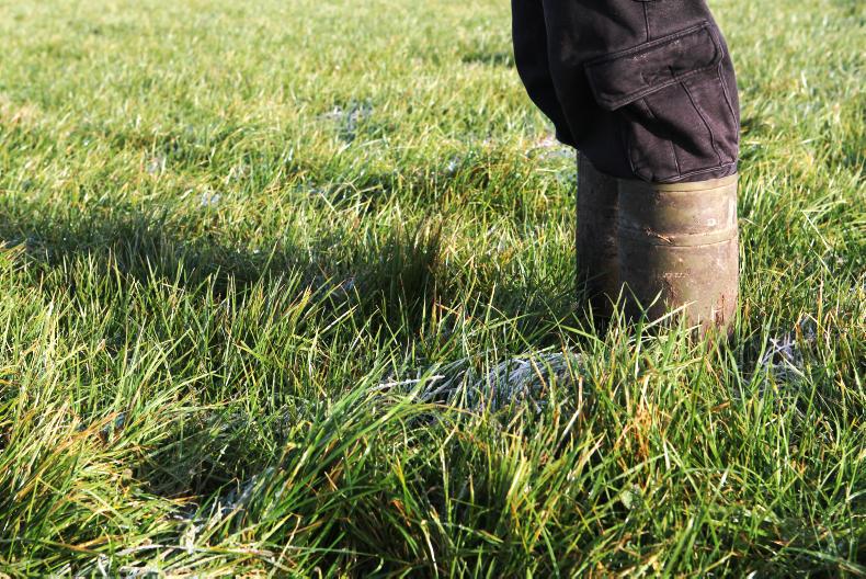 Student from Kildalton College victim of serious assault