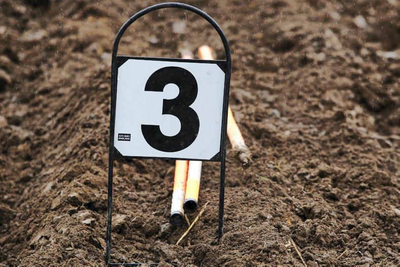 Irishmen claim silver and bronze at world ploughing contest