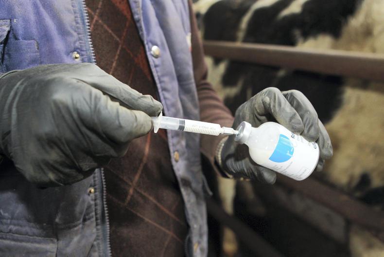  EU citizens blind to importance of veterinary medicine