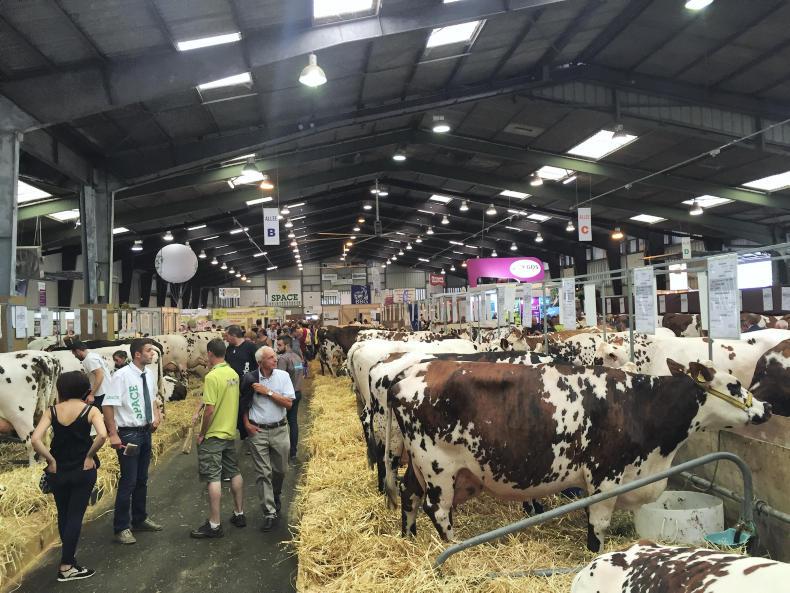 French farmers divided over milk supply reduction scheme