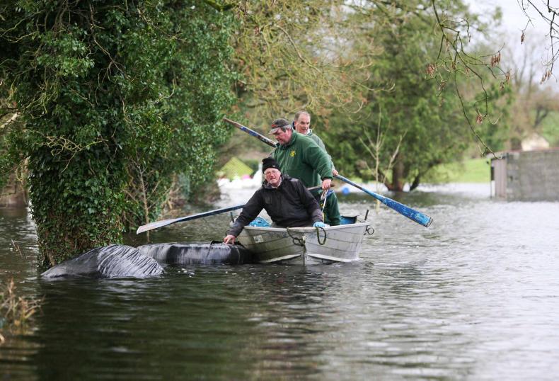 Shannon flood plan not enough for farmers