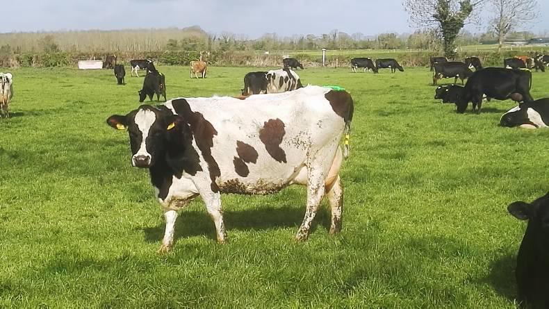 It’s time to plan for autumn grazing