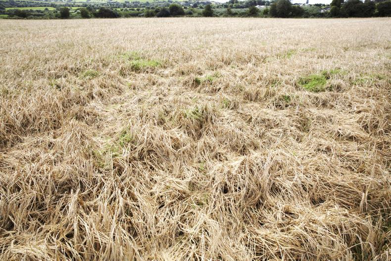Problematic end to harvest season