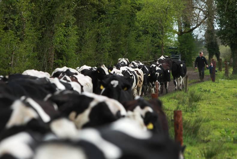 Why borrow money for the pleasure of milking cows, farmer asks