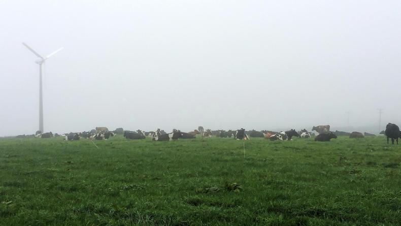 €100/cow 2016 profit for west Cork farm