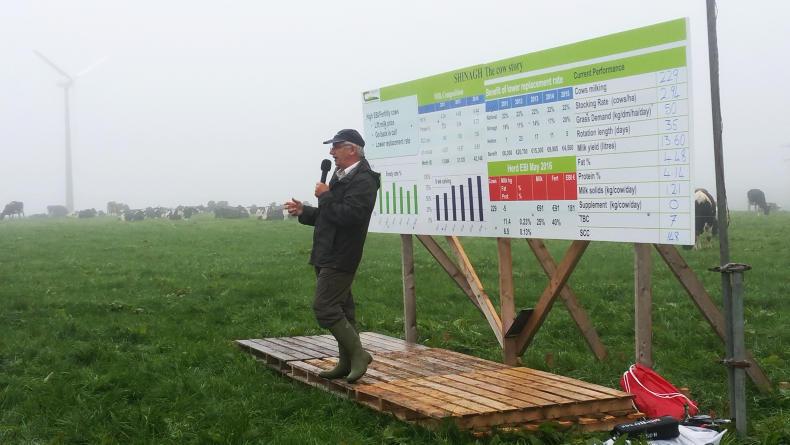 Managing labour at Shinagh farm