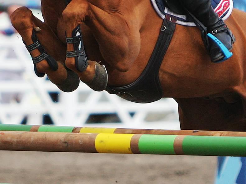 Ireland dominates Lanaken young horse podium