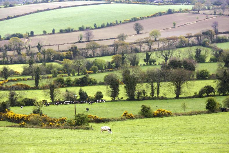 South Armagh farmer who let shed be used for fuel laundering avoids jail