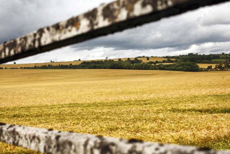 New diversification training for rural families