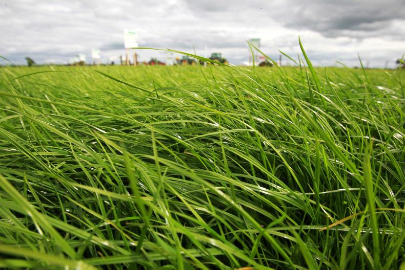 PastureBase to merge with AgriNet Grass to offer one package