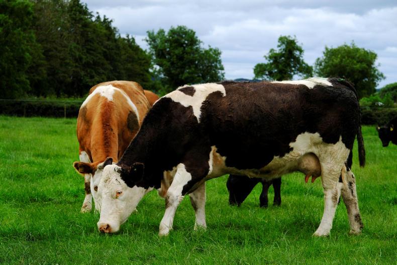 Agricultural jobs across Ireland 