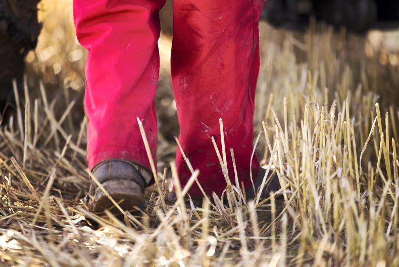 Special trade deal for Ireland possible in Brexit negotiations - Labour