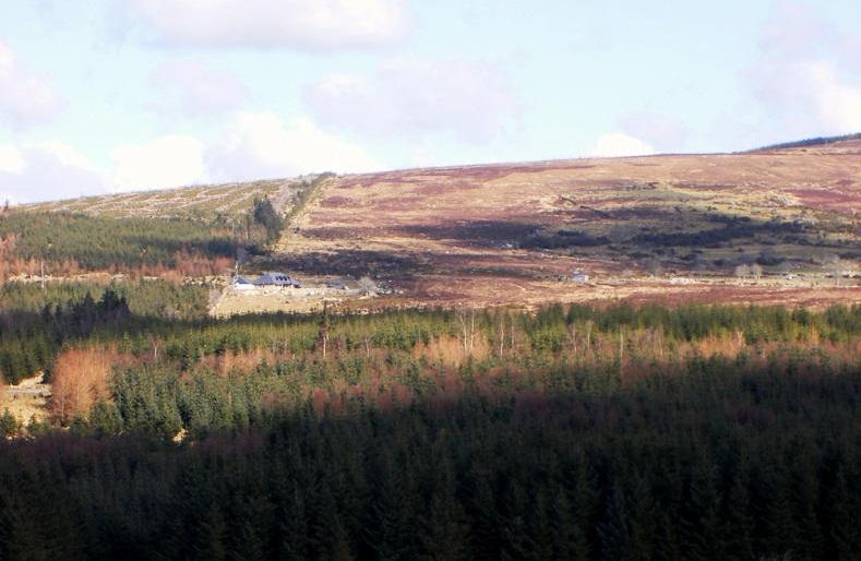 Positive developments in forestry sector despite afforestation underperformance 